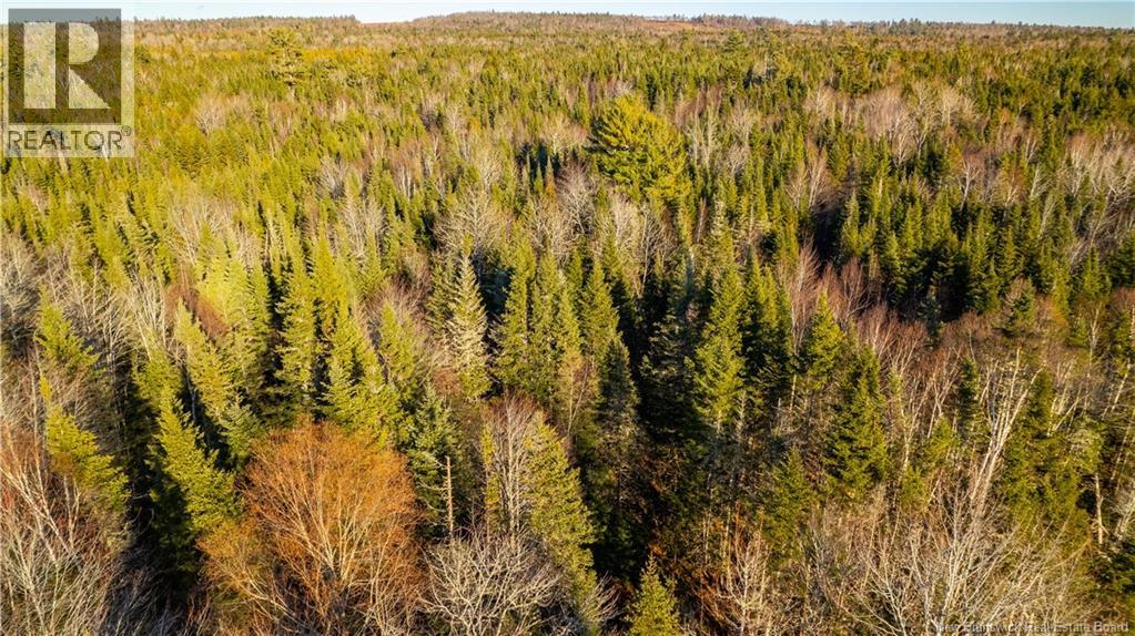 0 Boyd/clarence Ridge Road, Rollingdam, New Brunswick  E5A 2G8 - Photo 3 - NB146598