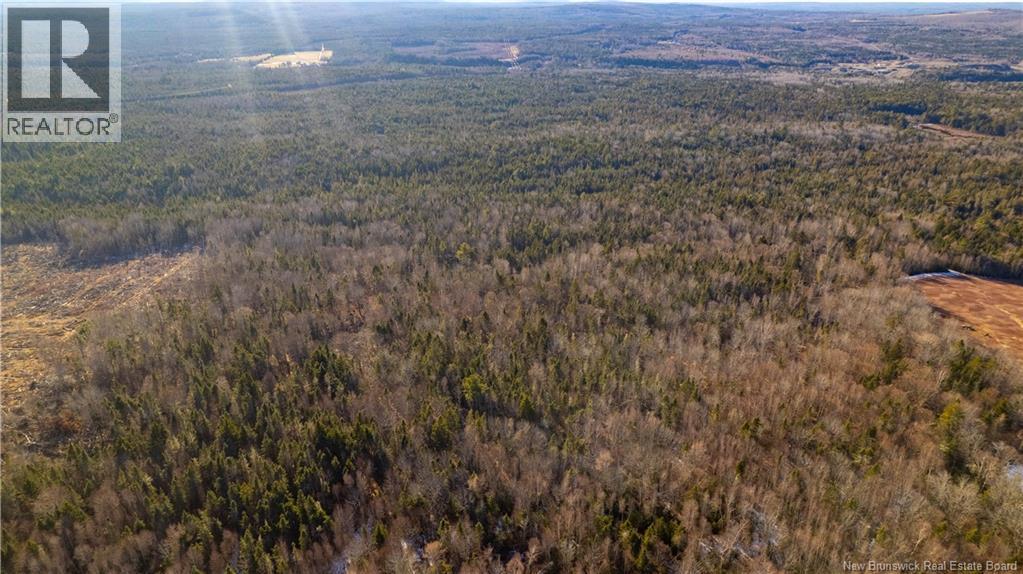 0 Boyd/clarence Ridge Road, Rollingdam, New Brunswick  E5A 2G8 - Photo 4 - NB146598