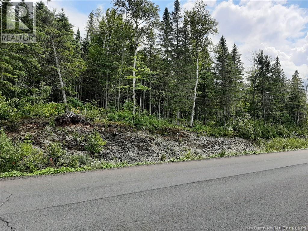 0 De La Falaise Street, Edmundston, New Brunswick  E3V 0B2 - Photo 4 - NB146380