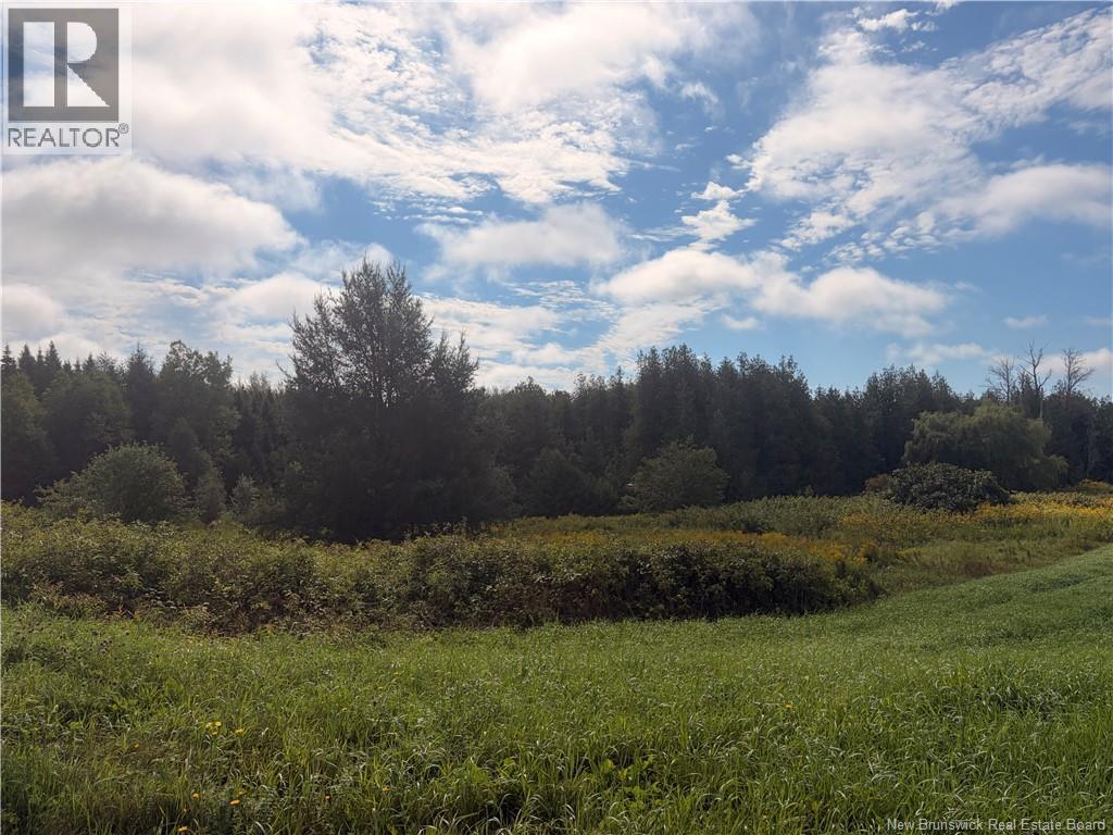 N/a Brookville Road, Brookville, New Brunswick  E7K 1M3 - Photo 3 - NB146666