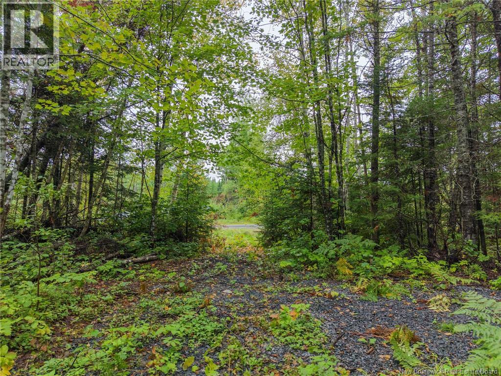 Lot 4 Boone Road, Tracy, New Brunswick  E5L 1A7 - Photo 10 - NB146622
