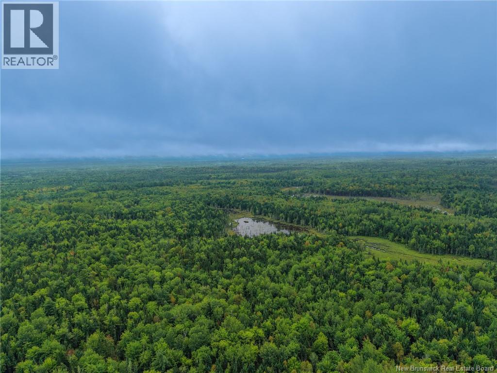Lot 4 Boone Road, Tracy, New Brunswick  E5L 1A7 - Photo 6 - NB146622