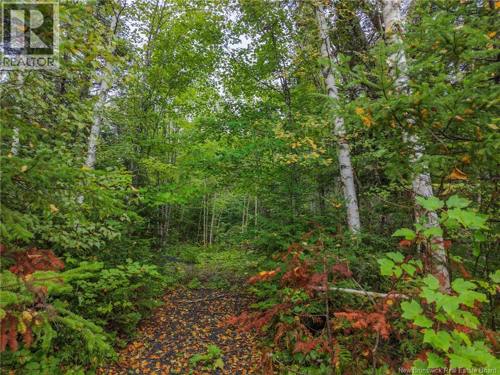 Lot 4 Boone Road, Tracy, New Brunswick  E5L 1A7 - Photo 9 - NB146622