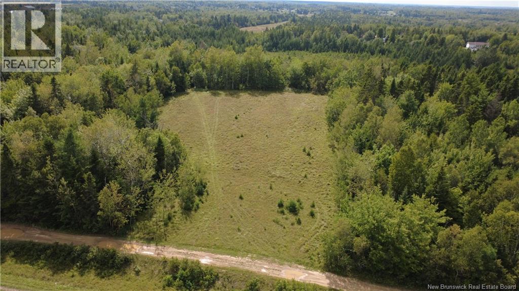 4.22 Acres Rue J. Godin, Saumarez, New Brunswick  E1X 2K1 - Photo 10 - NB146716