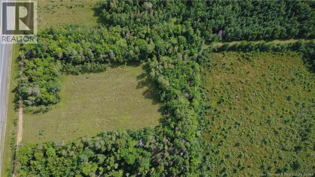 4.22 Acres Rue J. Godin, Saumarez, New Brunswick  E1X 2K1 - Photo 8 - NB146716