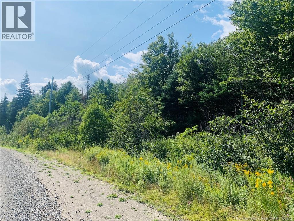 86-106 Fundy Drive, Wilsons Beach, New Brunswick  E5E 1X2 - Photo 3 - NB146740