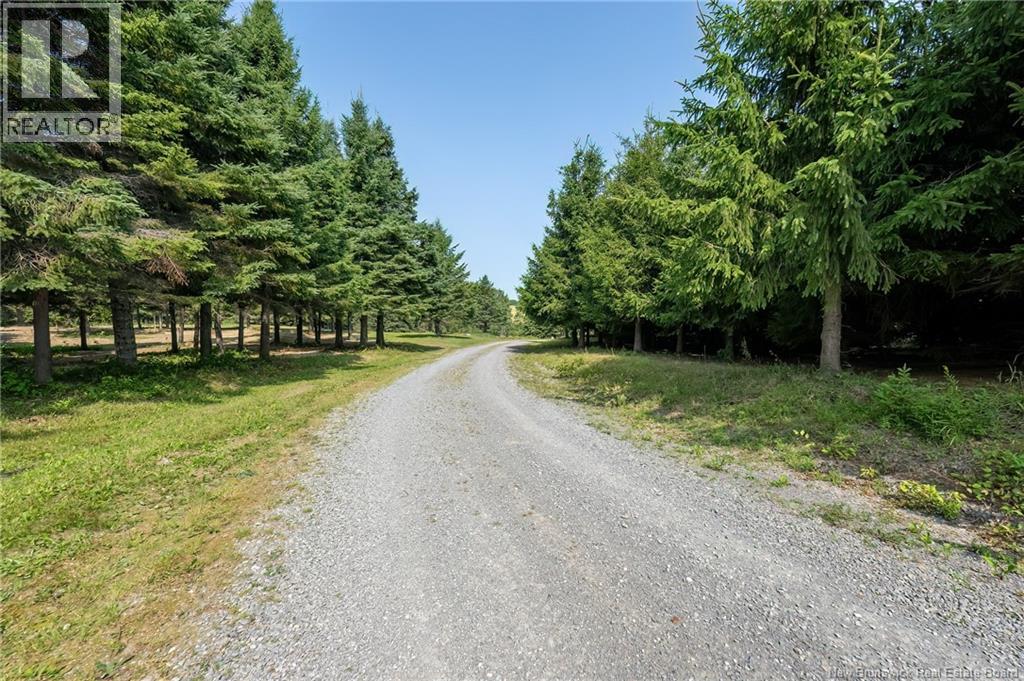 729 Route 260, Saint-Quentin, New Brunswick  E8A 2L7 - Photo 34 - NB146621