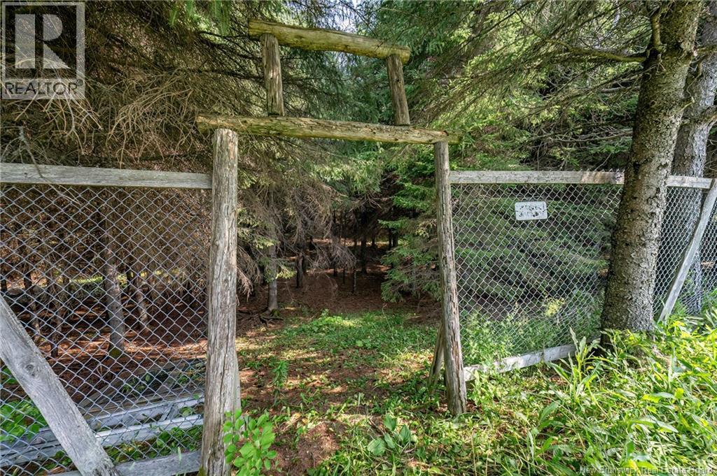 729 Route 260, Saint-Quentin, New Brunswick  E8A 2L7 - Photo 45 - NB146617