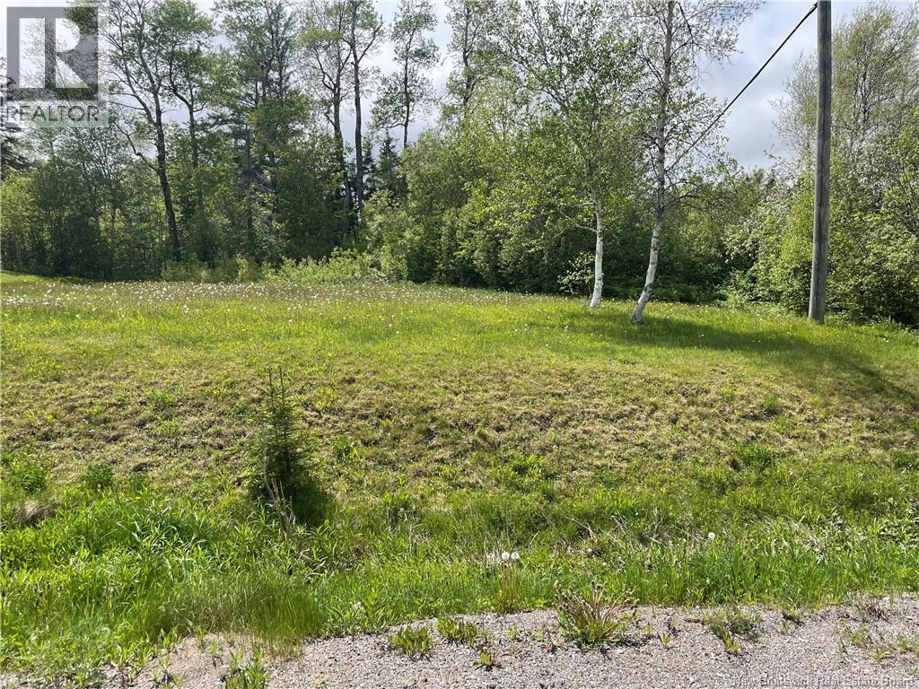 Route 865, Cassidy Lake, New Brunswick  E4E 5Y7 - Photo 5 - NB146826