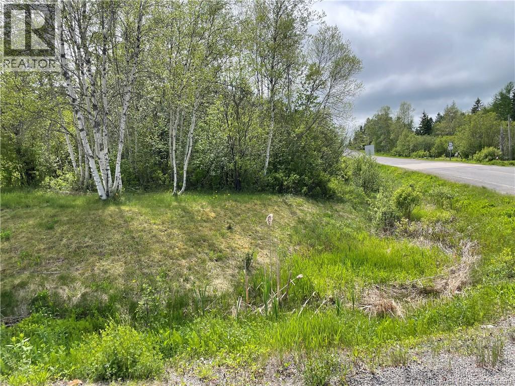 Route 865, Cassidy Lake, New Brunswick  E4E 5Y7 - Photo 7 - NB146826