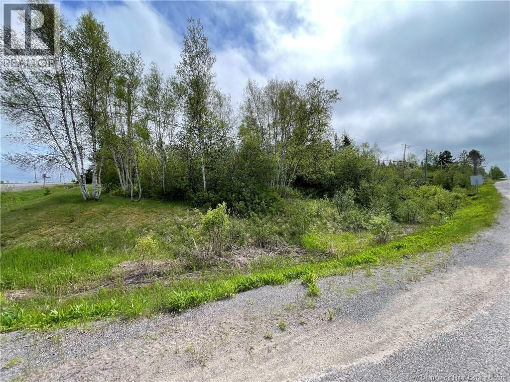 Route 865, Cassidy Lake, New Brunswick  E4E 5Y7 - Photo 9 - NB146826