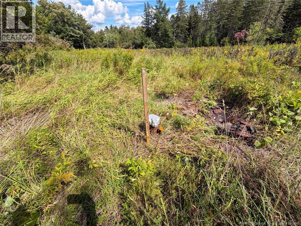 486 Route 635, Harvey, New Brunswick  E6K 3N6 - Photo 10 - NB146824