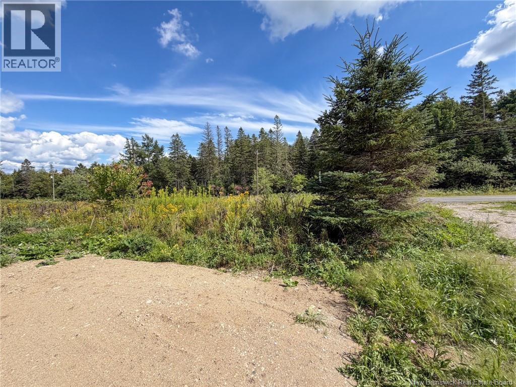 486 Route 635, Harvey, New Brunswick  E6K 3N6 - Photo 12 - NB146824
