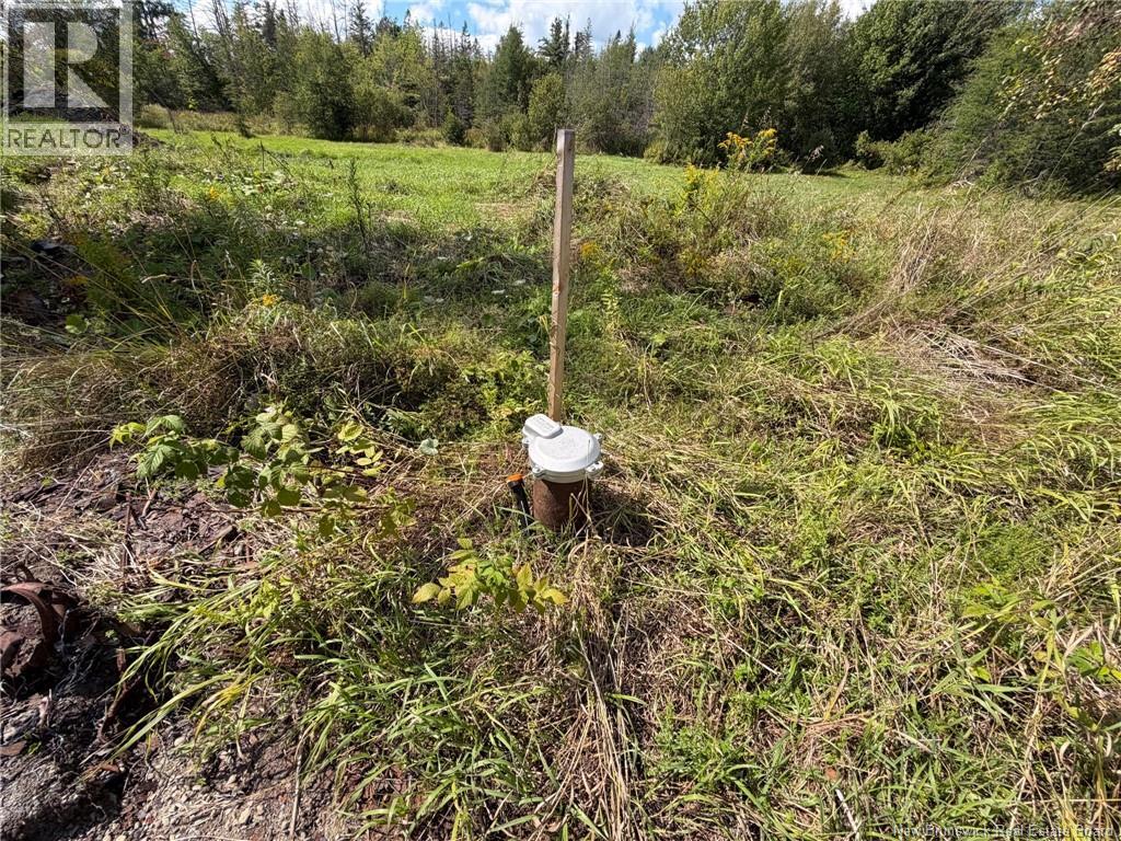486 Route 635, Harvey, New Brunswick  E6K 3N6 - Photo 6 - NB146824