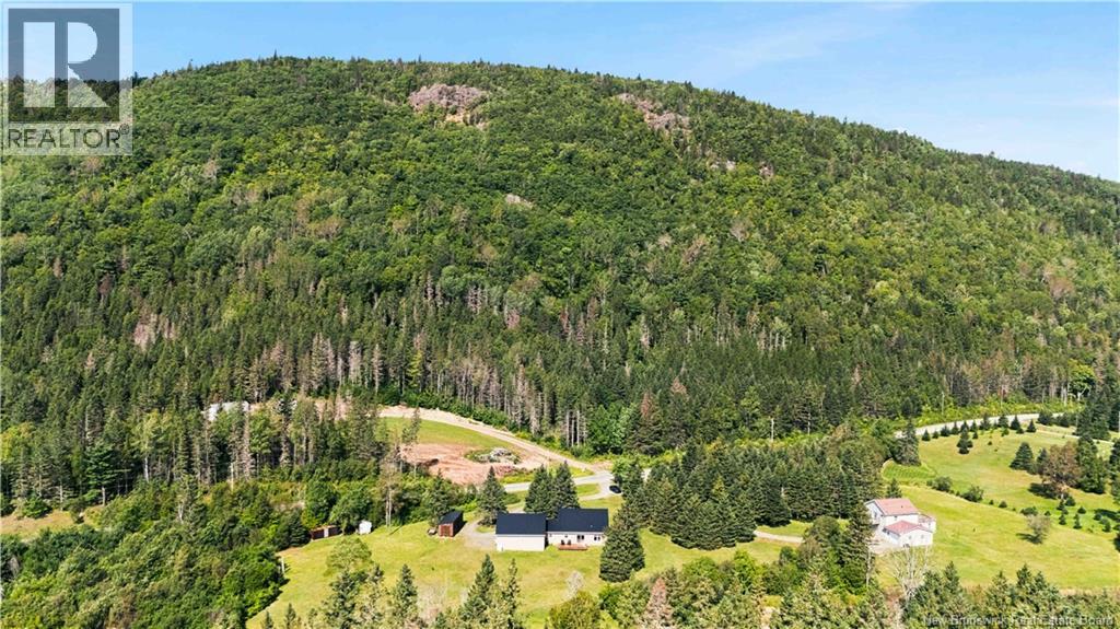 705 Pleasant Vale Road, Elgin, New Brunswick E4Z 0E1 - Photo 49 - NB146862