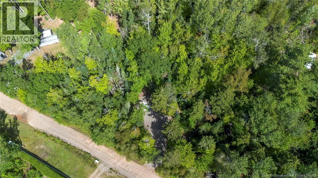 0 Cedar Lane, Big Cove, New Brunswick  E4C 6C7 - Photo 6 - NB146962