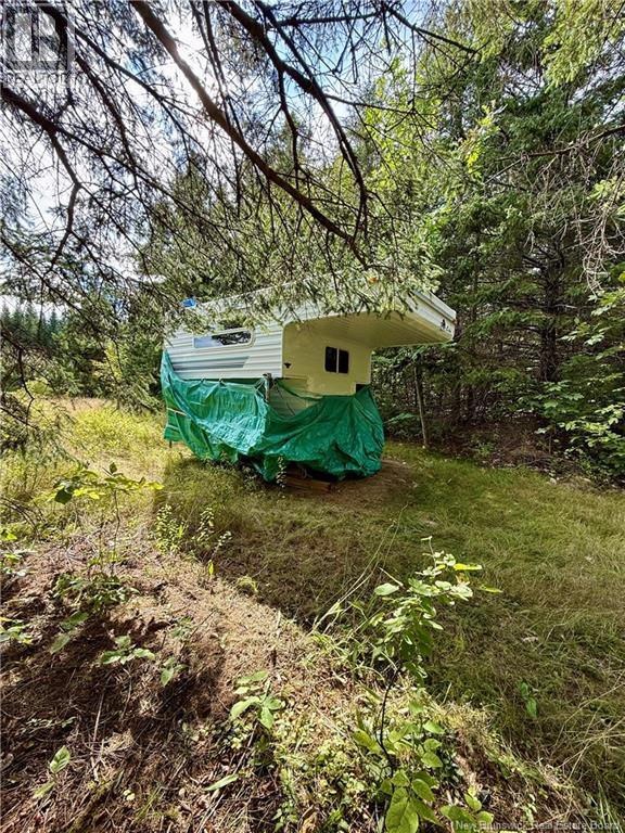 Camp & Lot Nortondale Road, Nortondale, New Brunswick  E6E 1N8 - Photo 12 - NB146929