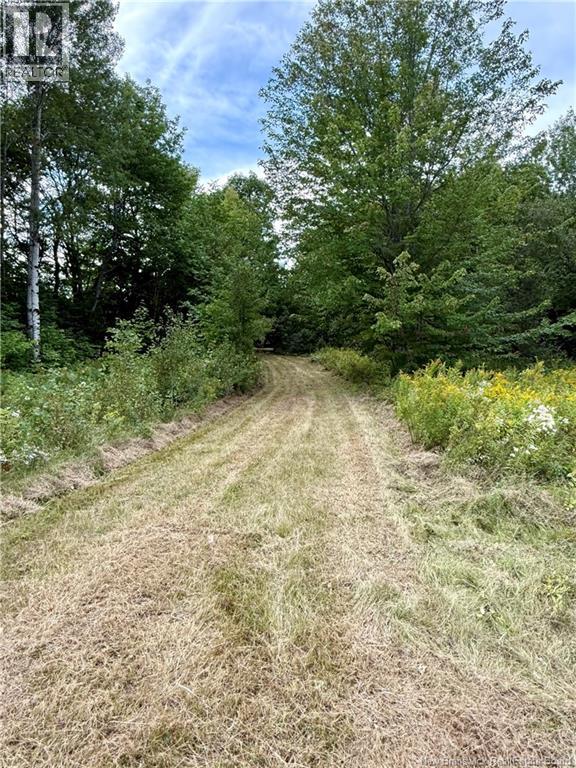 Camp & Lot Nortondale Road, Nortondale, New Brunswick  E6E 1N8 - Photo 3 - NB146929