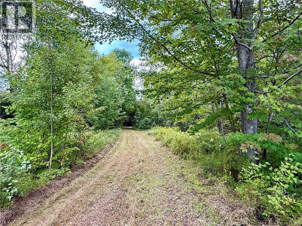 Camp & Lot Nortondale Road, Nortondale, New Brunswick  E6E 1N8 - Photo 5 - NB146929