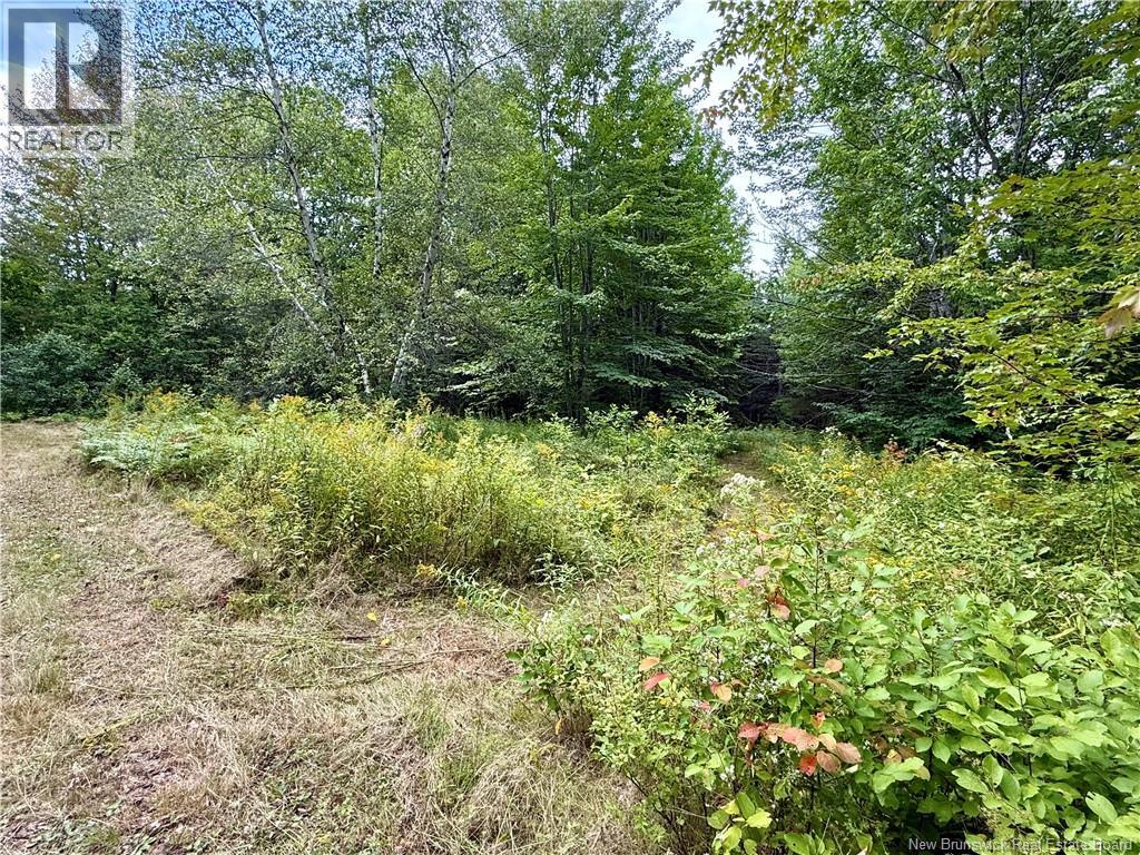Camp & Lot Nortondale Road, Nortondale, New Brunswick  E6E 1N8 - Photo 6 - NB146929