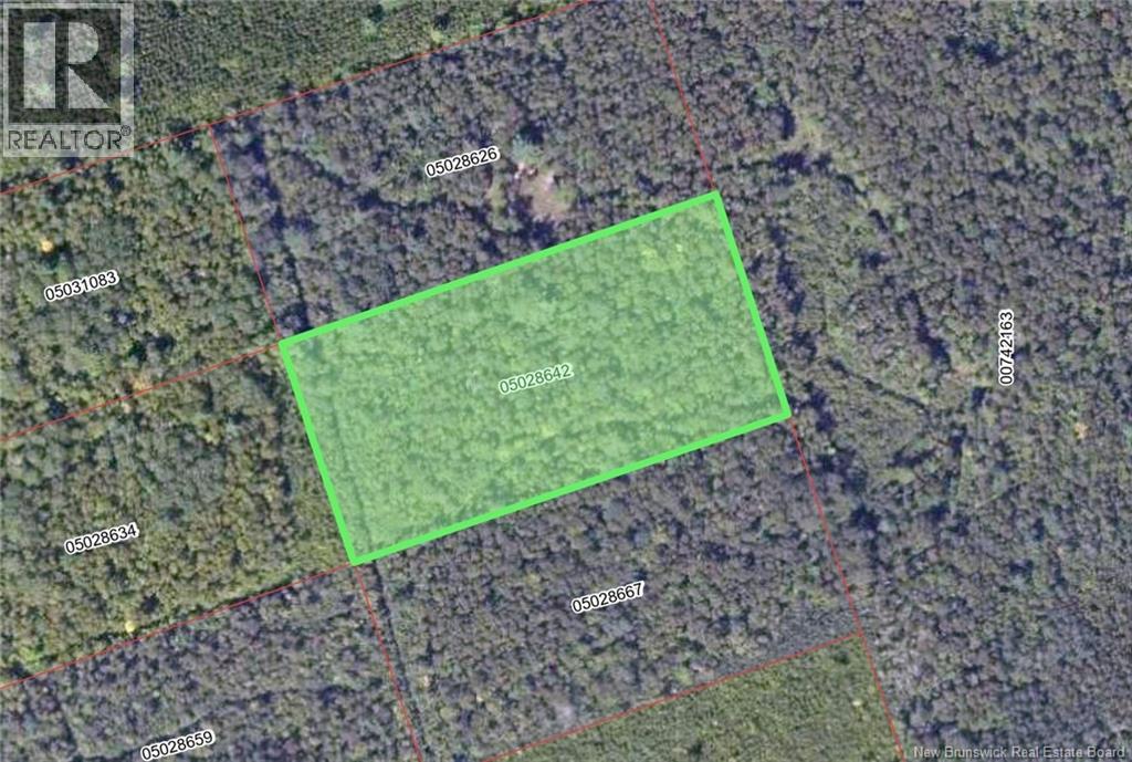Wood Lot Green Road, Elgin, New Brunswick  E4Z 1T6 - Photo 2 - NB146892