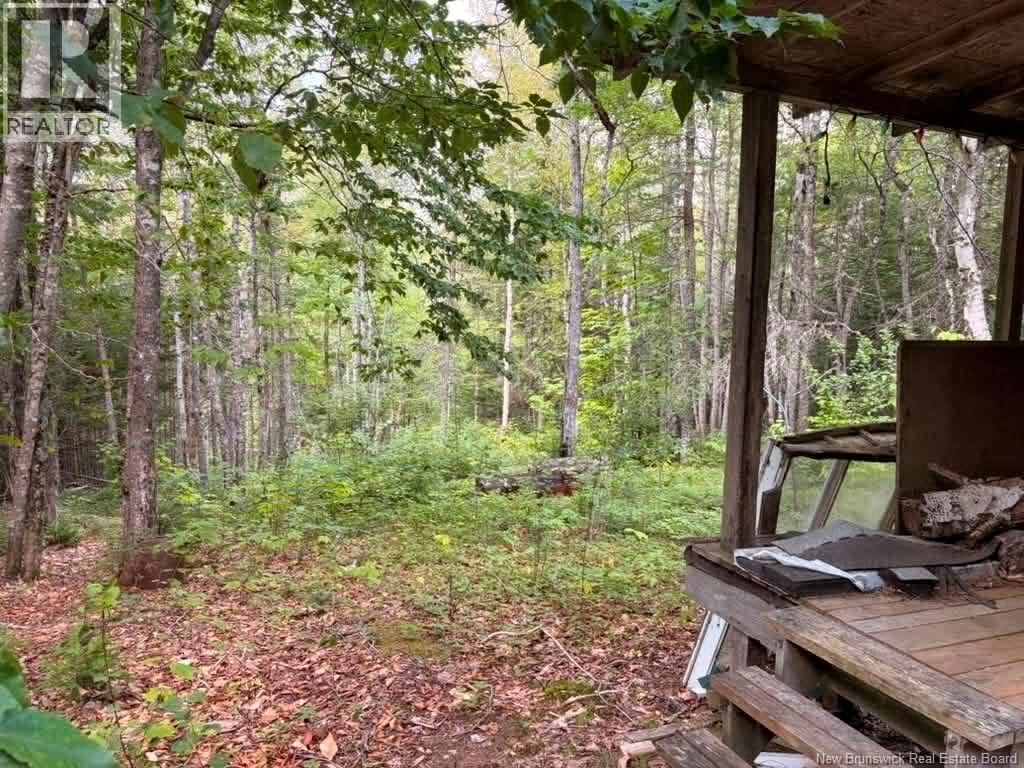 Camp - Lot 17 Green Road, Elgin, New Brunswick  E4Z 1T6 - Photo 10 - NB146934