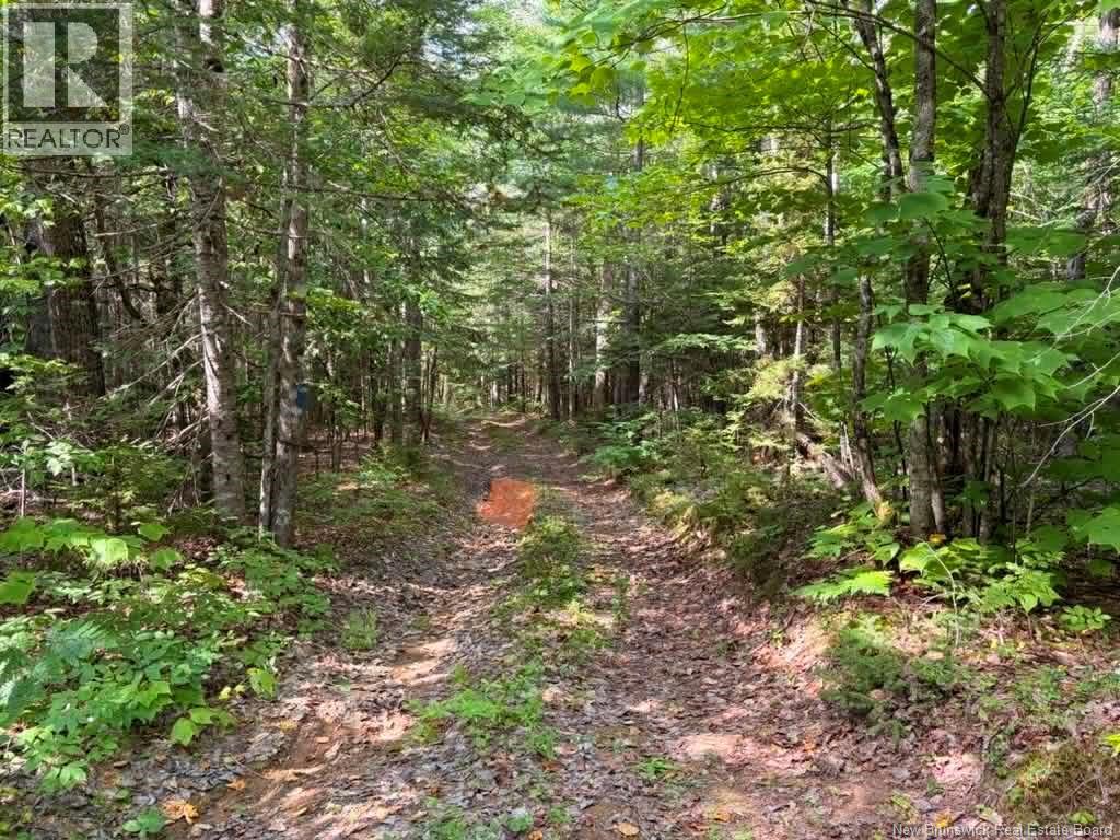 Camp - Lot 17 Green Road, Elgin, New Brunswick  E4Z 1T6 - Photo 5 - NB146934