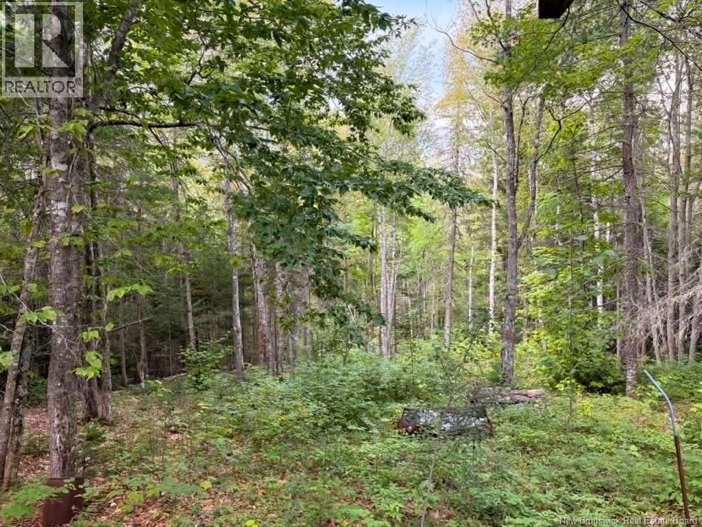 Camp - Lot 17 Green Road, Elgin, New Brunswick  E4Z 1T6 - Photo 7 - NB146934
