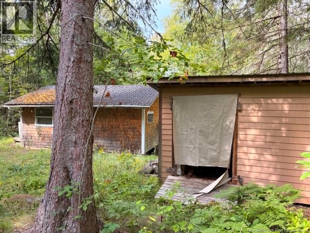 Camp - Lot 17 Green Road, Elgin, New Brunswick  E4Z 1T6 - Photo 8 - NB146934