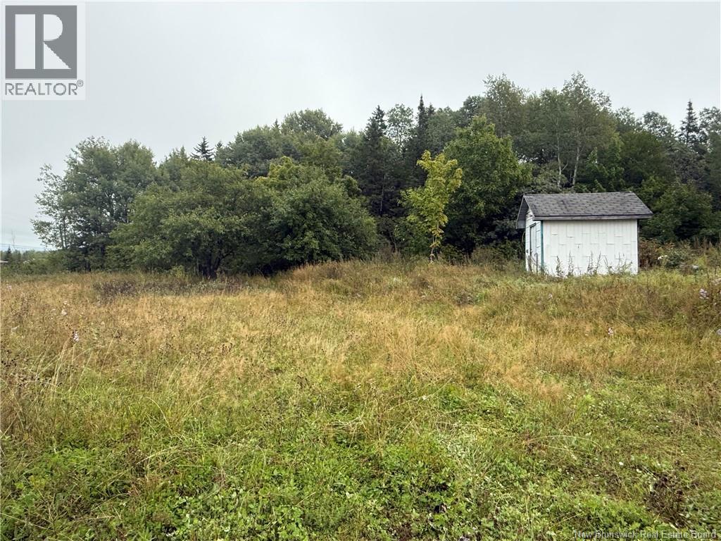 9 Mcabbie-Bye Road, Balmoral, New Brunswick E8E 1K9 - Photo 7 - NB147043