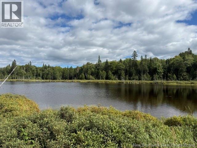 9 Mcabbie-Bye Road, Balmoral, New Brunswick E8E 1K9 - Photo 9 - NB147043