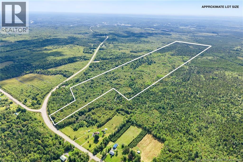 Lot Route 10, Upper Salmon Creek, New Brunswick  O0O 0O0 - Photo 3 - NB146935