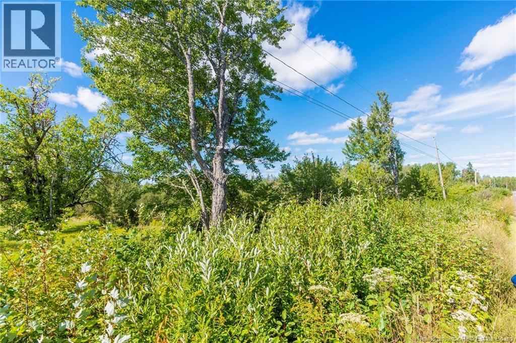 Lot 84-2 New Scotland Road, New Scotland, New Brunswick  E1G 3L3 - Photo 4 - NB146847