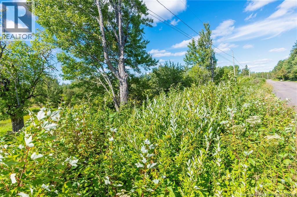 Lot 84-2 New Scotland Road, New Scotland, New Brunswick  E1G 3L3 - Photo 5 - NB146847