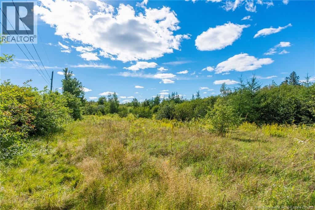 Lot 84-2 New Scotland Road, New Scotland, New Brunswick  E1G 3L3 - Photo 6 - NB146847