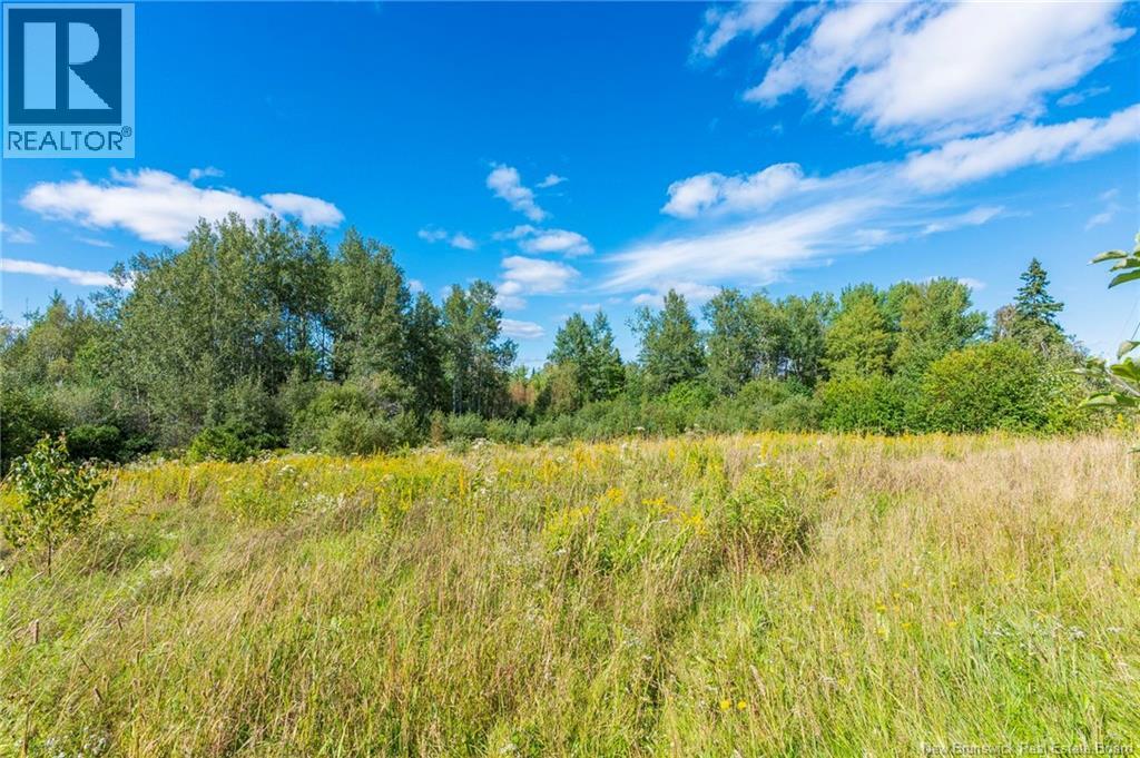 Lot 84-2 New Scotland Road, New Scotland, New Brunswick  E1G 3L3 - Photo 8 - NB146847