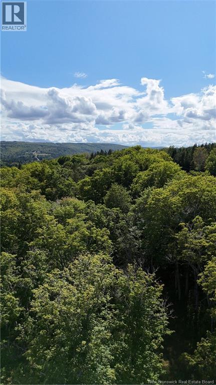 Sugar Camp Hillside, Elgin, New Brunswick  E4Z 2L3 - Photo 10 - NB147085