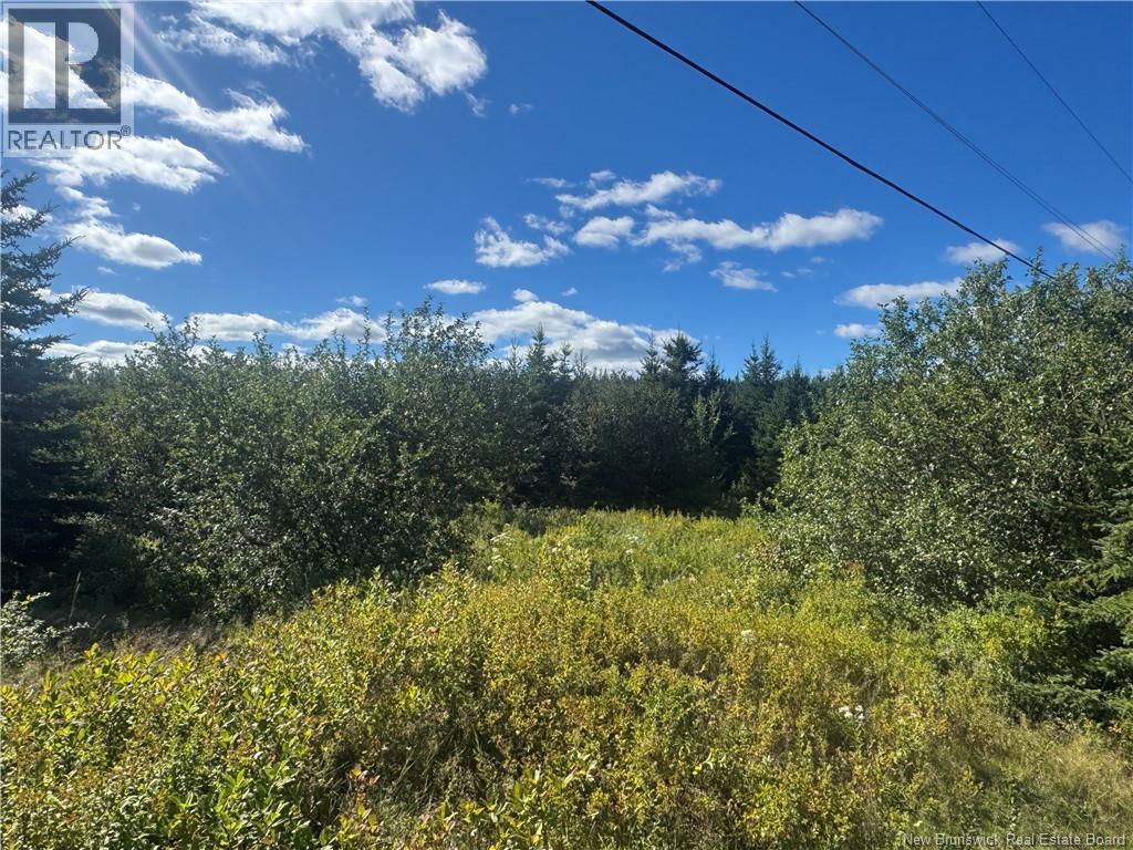 Lot Route 111, Hammondvale, New Brunswick  E4E 3T3 - Photo 2 - NB147150