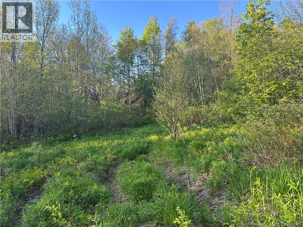 Highfield Road, Pearsonville, New Brunswick  E5P 1T2 - Photo 1 - NB147067