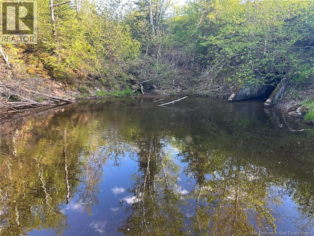 Highfield Road, Pearsonville, New Brunswick  E5P 1T2 - Photo 5 - NB147067