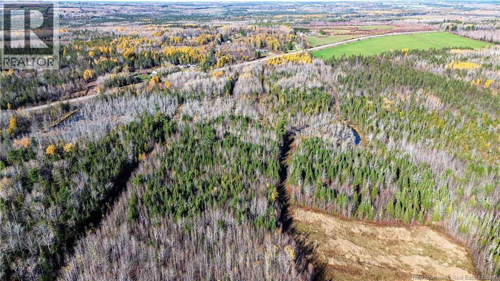 Lot Homestead Road, Salisbury, New Brunswick O0O 0O0 - Photo 10 - NB147179