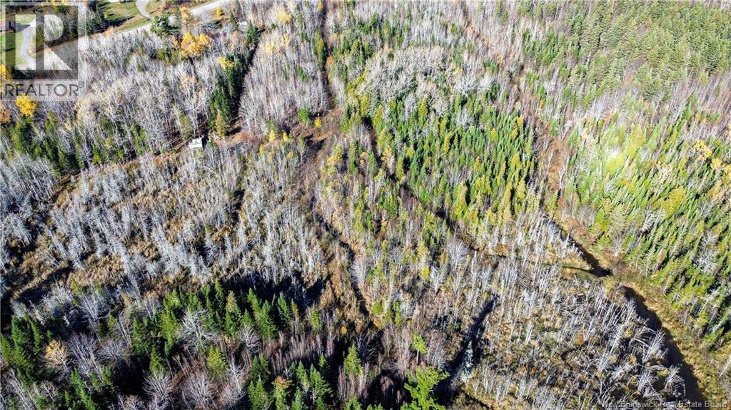 Lot Homestead Road, Salisbury, New Brunswick O0O 0O0 - Photo 14 - NB147179
