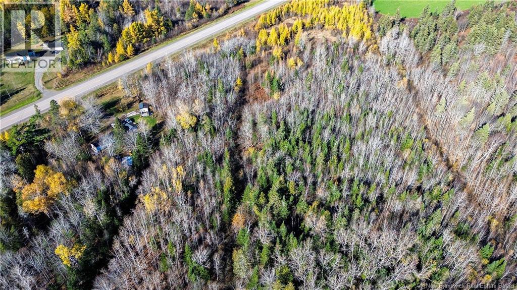 Lot Homestead Road, Salisbury, New Brunswick O0O 0O0 - Photo 16 - NB147179