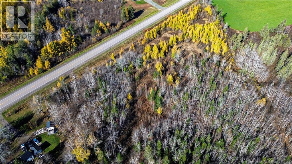 Lot Homestead Road, Salisbury, New Brunswick O0O 0O0 - Photo 17 - NB147179