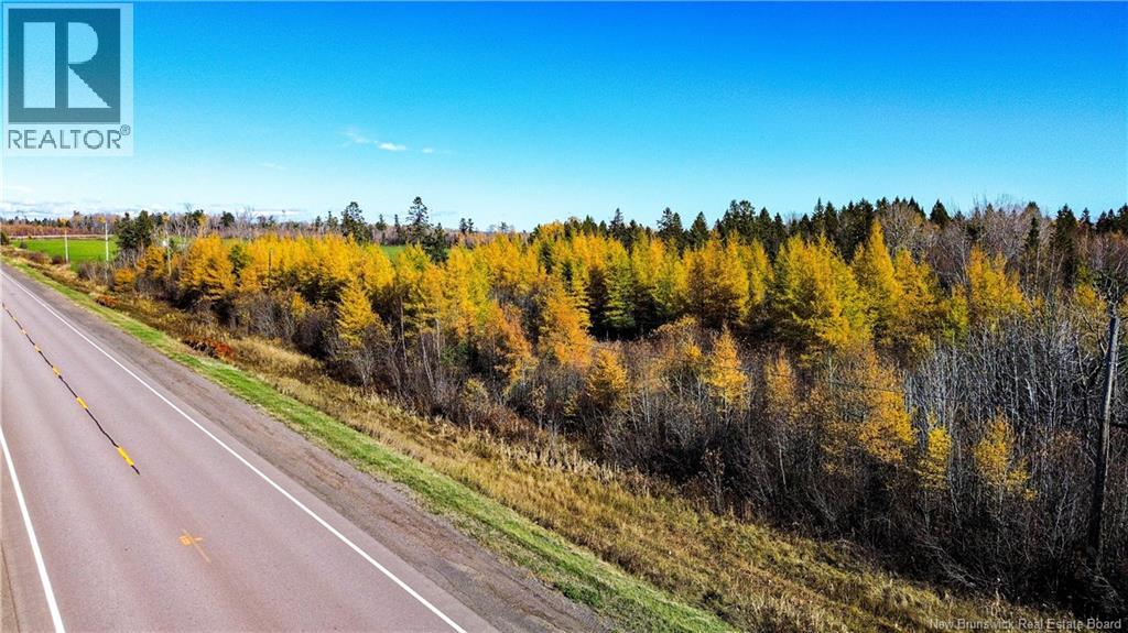 Lot Homestead Road, Salisbury, New Brunswick O0O 0O0 - Photo 2 - NB147179