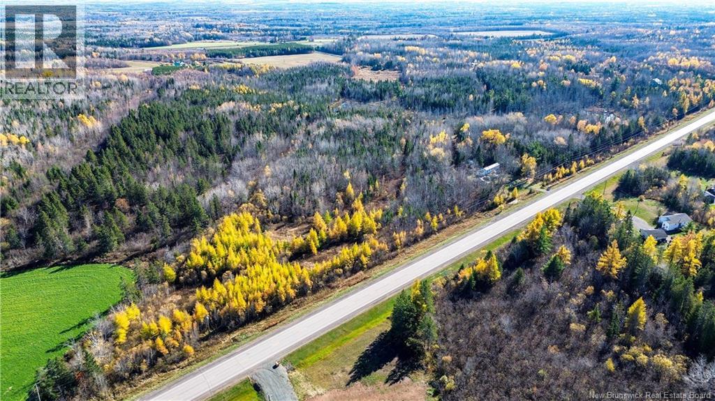 Lot Homestead Road, Salisbury, New Brunswick O0O 0O0 - Photo 3 - NB147179