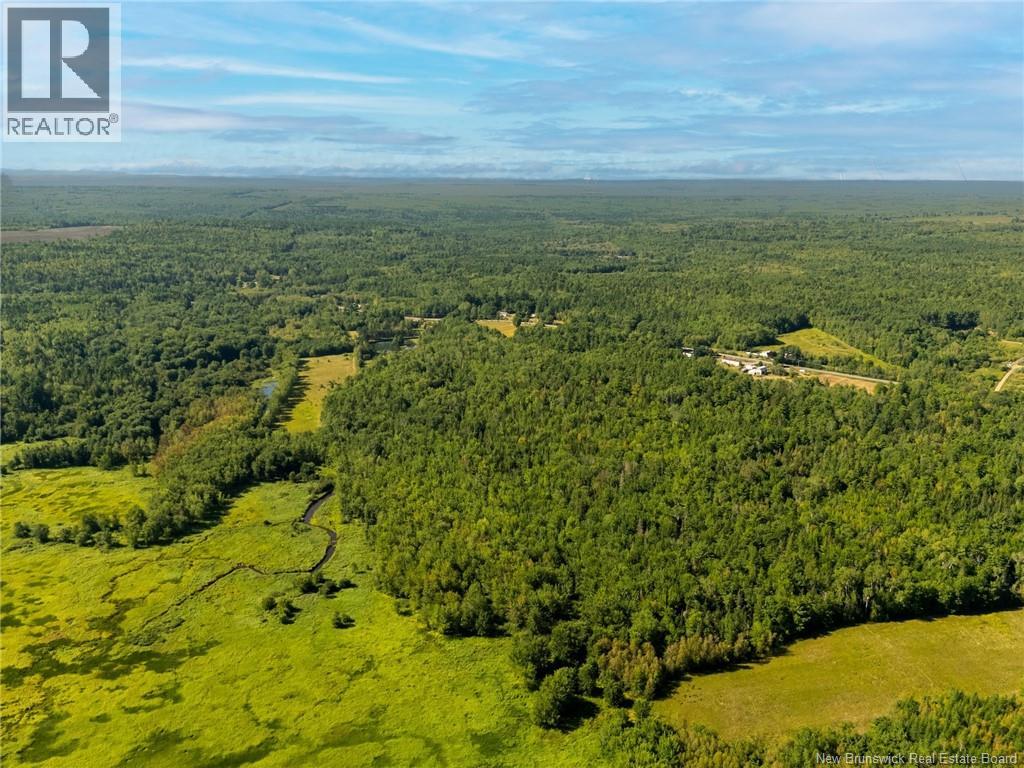 Lot Route 102 Route, Gagetown, New Brunswick  E5M 1L2 - Photo 8 - NB147141