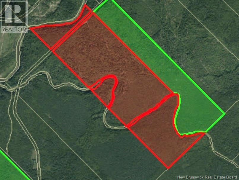 Lot Rte 520 Coates Mills, Coates Mills, New Brunswick E4S 1R7 - Photo 3 - NB147230