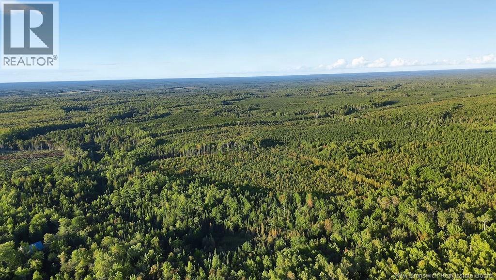 12 Thorne Brook Road, Havelock, New Brunswick  E4Z 0G2 - Photo 12 - NB147126