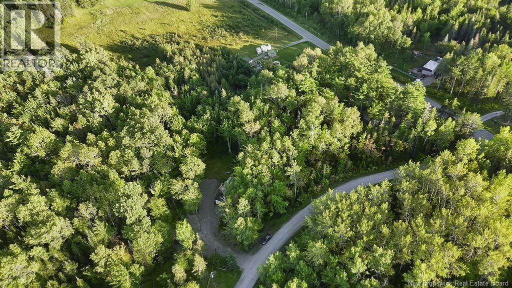 12 Thorne Brook Road, Havelock, New Brunswick  E4Z 0G2 - Photo 13 - NB147126